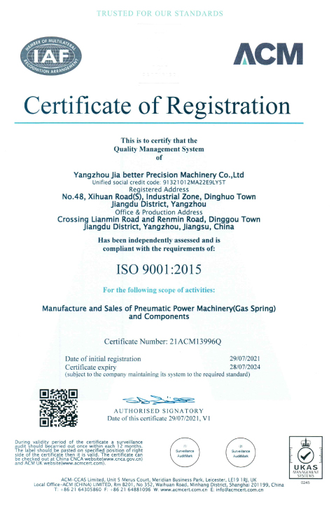 Chosen ISO certificate 01